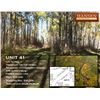 Image 1 : Unit 41