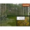 Image 1 : Unit 47