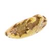 Image 1 : 11.09 Gram Gold Nugget