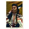 Image 2 : Chief Joseph.