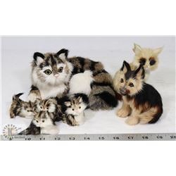 REAL HAIR CAT, KITTENS, DOG, FOX