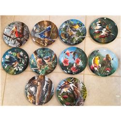 SET OF 10 'BIRDS OF YOUR GARDEN' COLLECTOR PLATE