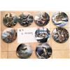 Image 1 : SET OF 10 'CALL OF THE WILDERNESS' COLLECTOR PLATE