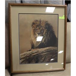 ALAN HUNT REIGNING MONARCH LION PICTURE WITH