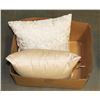 Image 1 : LOT OF 2 NEW HOME DECOR PILLOWS
