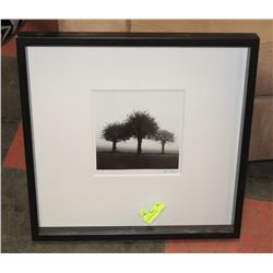 TREE FRAMED PICTURE