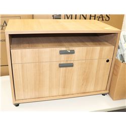 WOOD TONE OFFICE CABINET
