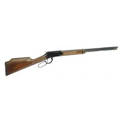 HENRY LEVER 17HMR VARM EXP 20" 11RD