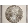 Image 1 : 2006 AMERICAN SILVER EAGLE NGC MS69 1ST STRIKES