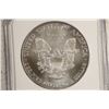 Image 2 : 2006 AMERICAN SILVER EAGLE NGC MS69 1ST STRIKES