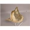 Image 1 : White Firemans Helmet