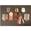 Image 1 : Grouping Of 9 Firemans Pins
