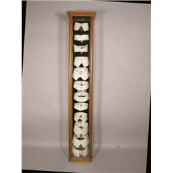 Beautiful Collar Display Case