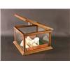 Image 1 : Bijou Waffle Cone Store Case