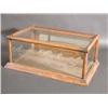 Image 1 : Small Wood Showcase