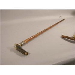 Mans Cane - Beautiful Antler Handle