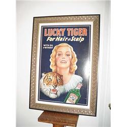 Lucky Tiger Poster