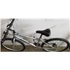 Image 3 : GREY BONELLI BIKE