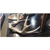 Image 3 : SMALL DEER ANTLERS