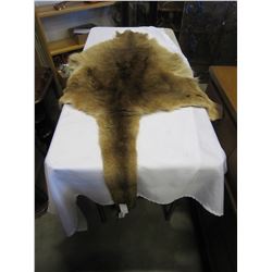 TANNED KANGAROO PELT