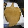 Image 3 : TANNED KANGAROO PELT
