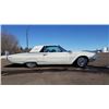 Image 3 : 1966 FORD THUNDERBIRD TWO DOOR HARDTOP