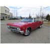 Image 1 : 1966 CHEVROLET IMPALA CONVERTIBLE 4 SPEED 396 BIG BLOCK