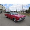 Image 2 : 1966 CHEVROLET IMPALA CONVERTIBLE 4 SPEED 396 BIG BLOCK