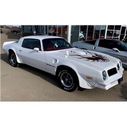 FRIDAY NIGHT 1976 PONTIAC TRANS AM 400 4 SPEED 34079 ORIGINAL MILES