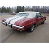 Image 2 : FRIDAY NIGHT 1972 PONTIAC LEMANS SPORT CONVERTIBLE