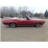 Image 3 : FRIDAY NIGHT 1972 PONTIAC LEMANS SPORT CONVERTIBLE