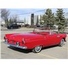 Image 11 : NO RESERVE! 1955 FORD THUNDERBIRD CONVERTIBLE ROADSTER