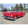Image 8 : NO RESERVE! 1955 FORD THUNDERBIRD CONVERTIBLE ROADSTER