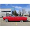 Image 9 : NO RESERVE! 1955 FORD THUNDERBIRD CONVERTIBLE ROADSTER