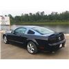 Image 7 : 2006 FORD MUSTANG CUSTOM
