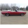 Image 3 : 1972 PONTIAC LEMANS SPORT CONVERTIBLE