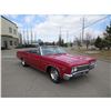 Image 2 : 1966 CHEVROLET IMPALA CONVERTIBLE 4 SPEED 396 BIG BLOCK
