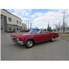 Image 3 : 1966 CHEVROLET IMPALA CONVERTIBLE 4 SPEED 396 BIG BLOCK