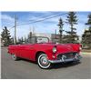 Image 1 : 1955 FORD THUNDERBIRD CONVERTIBLE ROADSTER