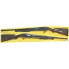 Image 1 : Winchester model 1912 16ga #356684