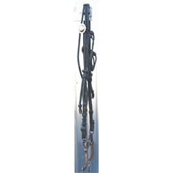 silver inlaid Mexican bit