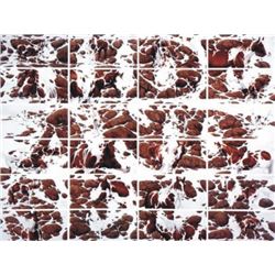 Bev Doolittle, Hide and Seek, special edition