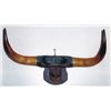 Image 1 : early set of mounted horns