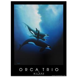 Orca Trio by Wyland