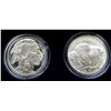 Image 1 : 2001 2coin BUFFALO SILVER COMMEM SET