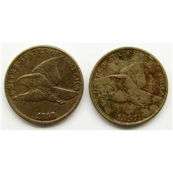 1857 & 1858 FLYING EAGLE CENTS FIND