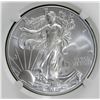 Image 2 : 2009 AMERICAN SILVER EAGLE NGC MS 69