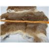 Image 2 : LOT OF 2 RABBIT PELTS (BROWN ) *18-19 INCHES LONG*