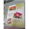 Image 1 : CANADA POST POSTER (DAY LILIES) *17" X 22"* (2 SIDED)