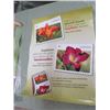 Image 2 : CANADA POST POSTER (DAY LILIES) *17" X 22"* (2 SIDED)